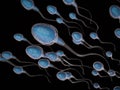 Group of sperms Royalty Free Stock Photo