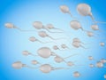 Group of sperms Royalty Free Stock Photo