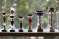 Group of sport trophies in row in a sport hall Royalty Free Stock Photo