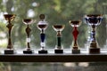 Group of sport trophies in row in a sport hall Royalty Free Stock Photo