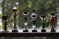 Group of sport trophies in row in a sport hall Royalty Free Stock Photo