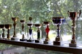 Group of sport trophies in row in a sport hall Royalty Free Stock Photo