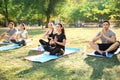 Group of sporty people practicing yoga in park Royalty Free Stock Photo