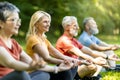 Group Of Sporty Senior People Practicing Yoga Together Outdoors Royalty Free Stock Photo