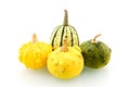 Group squashes Royalty Free Stock Photo