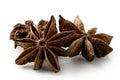 A group of star anise seeds. Royalty Free Stock Photo