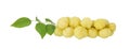 Group of star gooseberry fruit on white