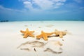 group of starfish on a sandy seabed, clear water
