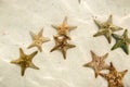Group of starfish underwater on sandy ocean bottom