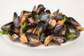 Group steamed fresh mussels on white plate