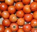 Group of sticking raw organic Tomatoes of different, Fresh juicy appetizing tomatoes. Raf tomato, cherry in opened fresh market