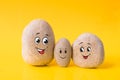 Group of stones with drawn funny faces