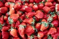 Freshly harvested Sybilla strawberry background