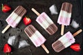 Group of strawberry, vanilla, chocolate neapolitan ice pops on a dark background Royalty Free Stock Photo