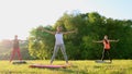 Group stretching workout, large group stretches outdoor on a green grass in park