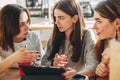 Students discussing their common project Royalty Free Stock Photo