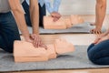 Group Of Students Learning Cpr Royalty Free Stock Photo