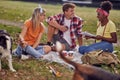 A group of students is studying while sitting on the grass in the park with their dogs. Friendship, rest, pets, picnic Royalty Free Stock Photo