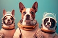 Group studio portrait of dogs dressed as astronauts created with Generative AI technology Royalty Free Stock Photo
