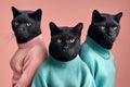 Group studio portrait of fat black panthers in the clothes, created with Generative AI technology