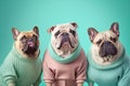 Group studio portrait of fat dogs created with Generative AI technology