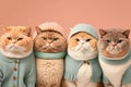 Group studio portrait of fat kittens in clothes , concept of Cuteness overload, created with Generative AI technology