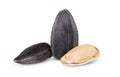 A group of sunflower seeds in the foreground closeup isolated on white background