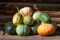 Group of sunlit ripe sweet different kind of pumpkins on bright sunlight. Autumnal