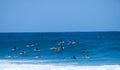 A group of surfers float together Royalty Free Stock Photo