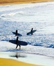 Group of surfers Royalty Free Stock Photo