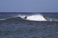 Group of surfers in Hawaii chasing the wave Royalty Free Stock Photo