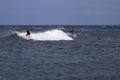 Group of surfers in Hawaii chasing the wave Royalty Free Stock Photo