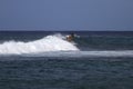 Group of surfers in Hawaii chasing the wave Royalty Free Stock Photo