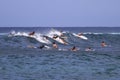 Group of surfers in Hawaii chasing the wave Royalty Free Stock Photo