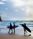 Group surfers surfboards beach Portugal