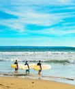 Group of surfers with surfboards Royalty Free Stock Photo