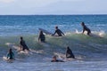 A group of surfers wait for the wave Royalty Free Stock Photo