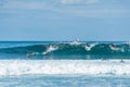 Group of surfers waiting for a wave Royalty Free Stock Photo