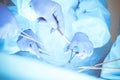 A group of surgeons is operating at the hospital, close-up of hands. Health care concept Royalty Free Stock Photo