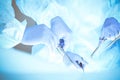 A group of surgeons is operating at the hospital, close-up of hands. Health care concept Royalty Free Stock Photo