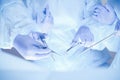 A group of surgeons is operating at the hospital, close-up of hands. Health care concept Royalty Free Stock Photo