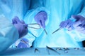 Group of surgeons at work while operating at hospital, close-up of hands. Health care and veterinary concept Royalty Free Stock Photo