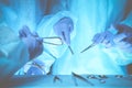 Group of surgeons at work while operating at hospital, close-up of hands. Health care and veterinary concept Royalty Free Stock Photo