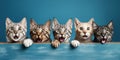 Group of surprised cats on a blue background, concept of Startle