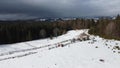 A group of SUVs stopped in a snowy meadow of a mountain