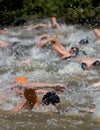 A group of swimmers