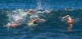 Group swimmers swimming crawl in blue sea