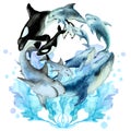 Group of swimming fish, dolphins, shark, blue whale, killer whale orca and blue seaweed on a white background, watercolor