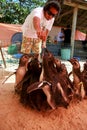 Group takes care of lost penguins in safe harbor Royalty Free Stock Photo