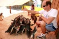 Group takes care of lost penguins in safe harbor Royalty Free Stock Photo